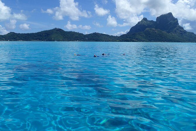 Luxury Full Day Snorkeling - Why This Tour Is a Great Choice