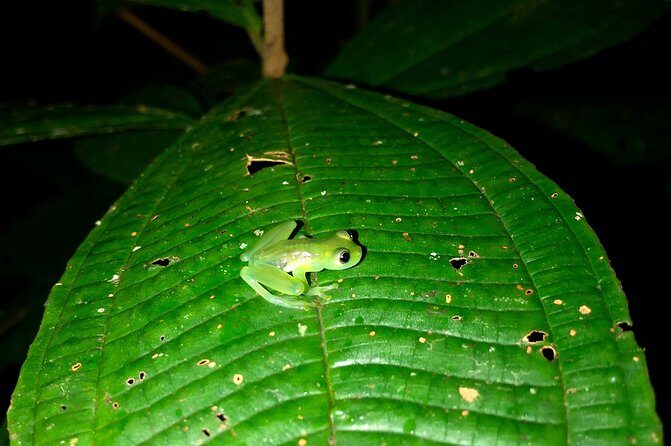 Luxury Half-Day Trip getting off the beaten path Central Valley - Exploring Costa Rica’s Central Valley in Style and Comfort