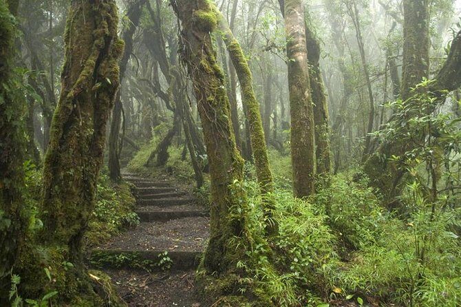 Luxury Half-Day Trip getting off the beaten path Central Valley - The Practical Side: Logistics and Value