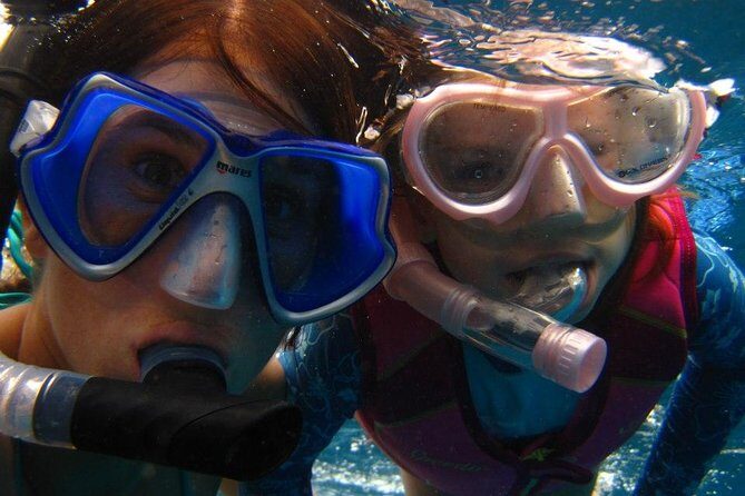 Luxury Hawaiian Sea Turtle, Dolphin Sail and Kona Snorkel - Who Will Love This Tour?