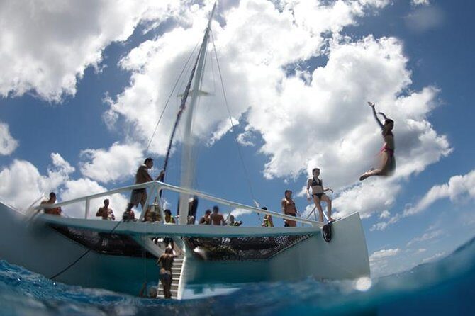 Luxury Hawaiian Sea Turtle, Dolphin Sail and Kona Snorkel - Final Thoughts