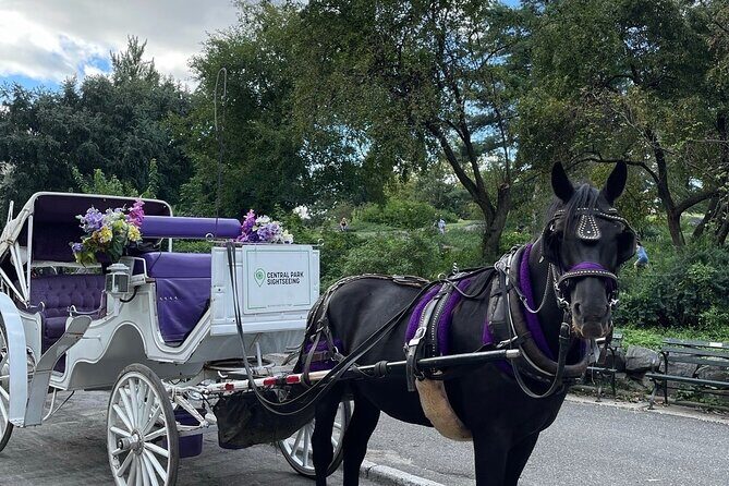 Luxury Horse and Carriage Tours in Central Park - Discover Central Park in Style with a Private Horse and Carriage Tour
