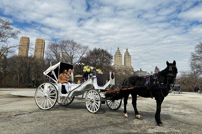 Luxury Horse and Carriage Tours in Central Park - An In-Depth Look at the Experience