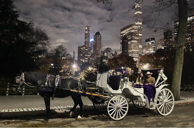 Luxury Horse and Carriage Tours in Central Park - Final Thoughts