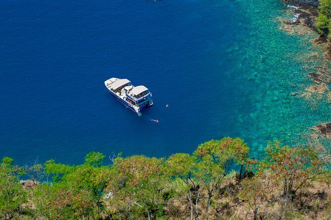 Luxury Kona Coast Snorkel Tour Including Lunch - Who Will Love This Tour?
