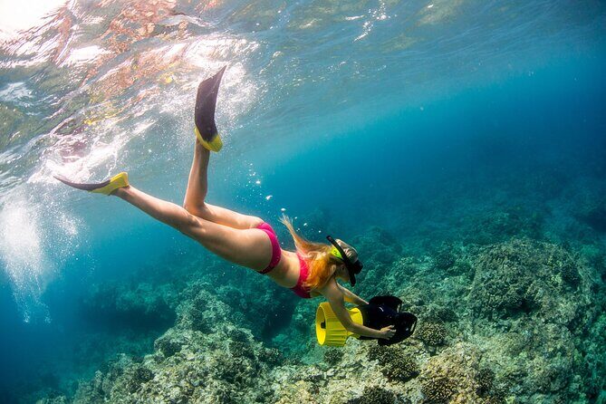 Luxury Kona Coast Snorkel Tour Including Lunch - FAQ