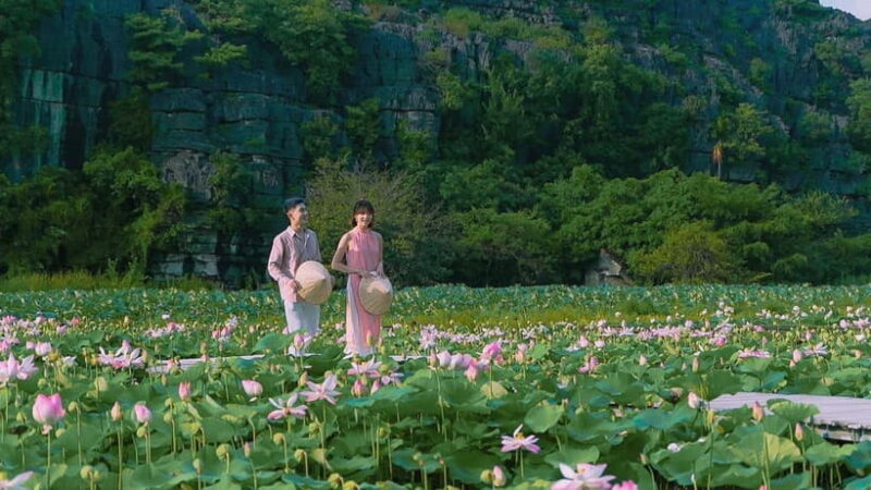 Luxury Limousine Tour: Hoa Lu, Trang An/Tam Coc & Mua Cave - Experience the Best of Ninh Binh with a Luxury Limousine Tour