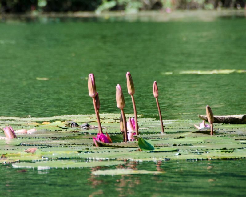 Luxury Limousine Tour: Hoa Lu, Trang An/Tam Coc & Mua Cave - Who Is This Tour Best For?