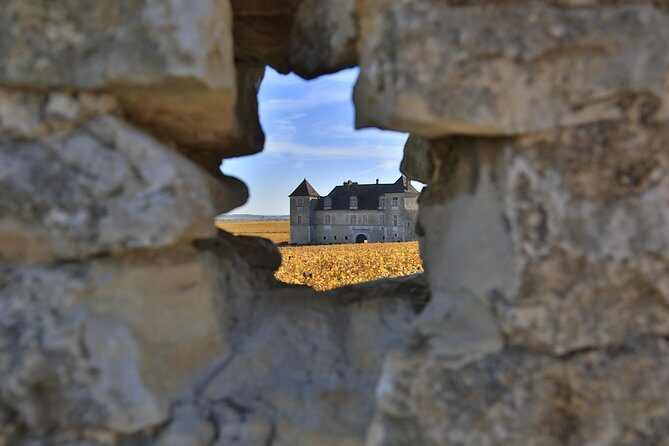 Luxury Luxury Wine Tour Experience - The Experience Through the Eyes of Past Travelers