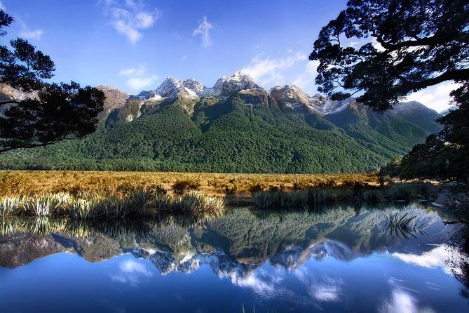 Luxury Milford Sound Coach and Scenic Cruise - Key Points