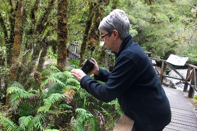 Luxury Milford Sound Coach and Scenic Cruise - Who Would Love This Tour?