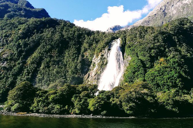 Luxury Milford Sound Coach and Scenic Cruise - Frequently Asked Questions