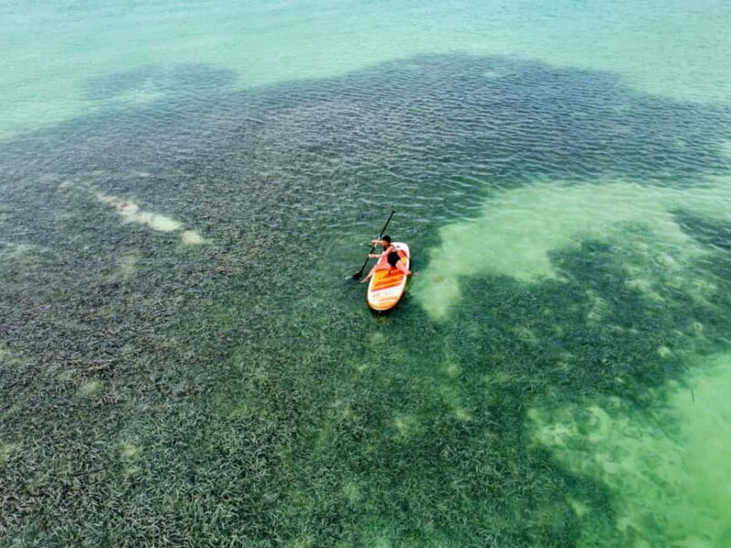 Luxury Mini Yacht Private Cruise in Cotubanamá National Park - The Sum Up: Is It Worth It?