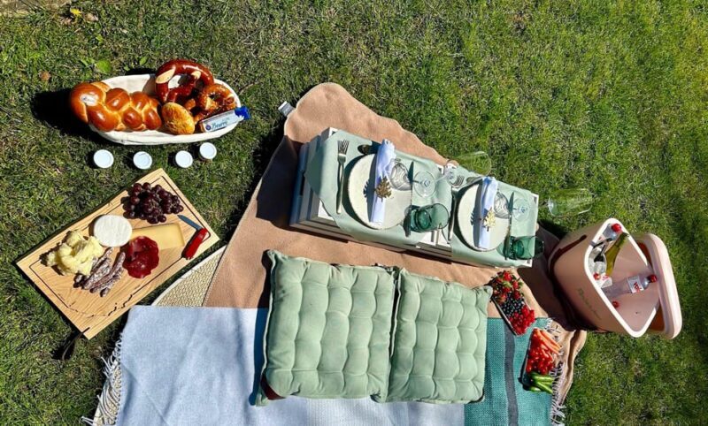 Luxury picnic by Zurich lake - Authentic Experiences and Traveler Insights