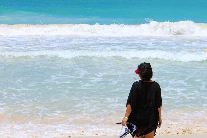 Luxury Picnic in Hawaii Paradise - The Sum Up