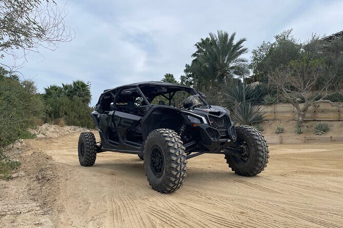 Luxury Private Baja Off-Road Tour from Pacific to Sea of Cortez - The Sum Up