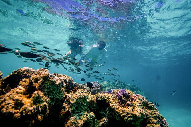 LUXURY Private Catamaran : BORA BORA Half Day Sailing, Snorkeling - Final Thoughts