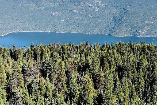 Luxury Private Day Trip: Calgary to Banff Lake Louise - FAQ