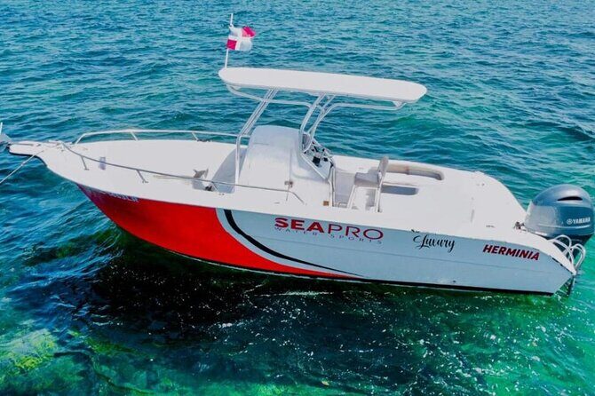 Luxury Private Family Sailing Tour in Punta Cana - A Private Sailing Adventure in Punta Cana That Feels Personal and Authentic