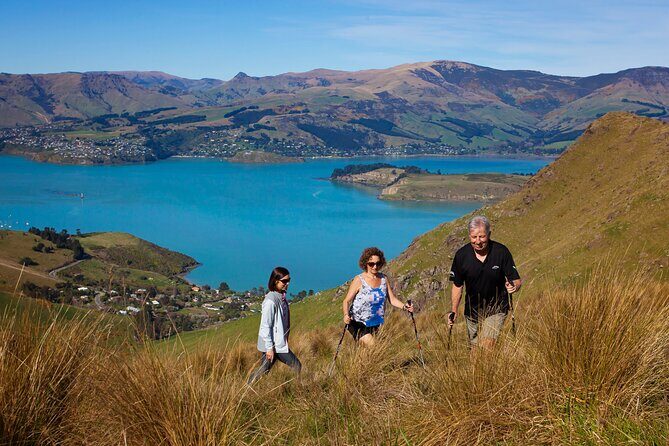 Luxury Private Guided Crater Rim Walk on Banks Peninsula - An Unforgettable Walk on Banks Peninsula: The Luxury Private Guided Crater Rim Tour