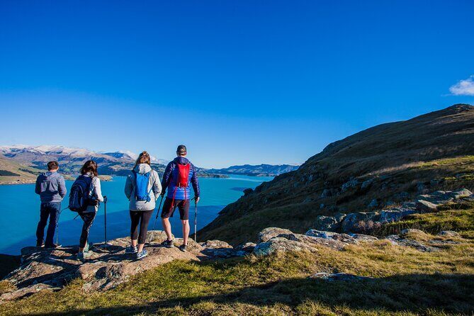 Luxury Private Guided Crater Rim Walk on Banks Peninsula - Exploring the Full Experience: A Close Look at the Itinerary