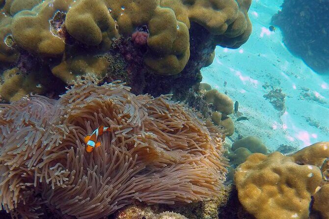 Luxury Private Motor Yacht Charter by Simba Sea Trips - FAQ