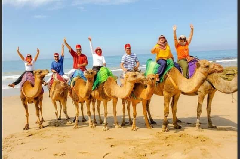 Luxury Private Tangier Tour from Malaga all inclusive - Key Points
