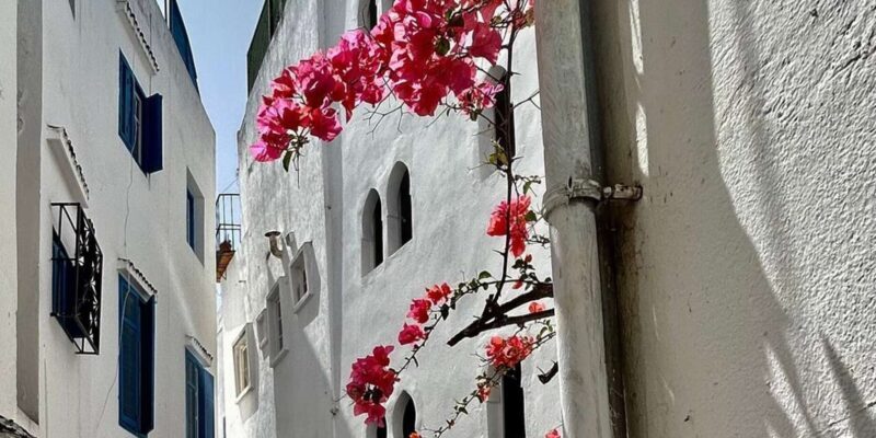 Luxury Private Tangier Tour from Marbella all inclusive - Transportation and Logistics