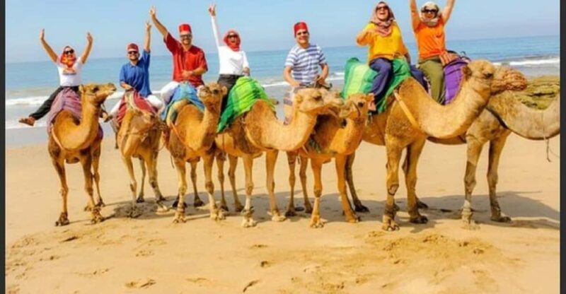 Luxury Private Tangier Tour from Marbella all inclusive - FAQs