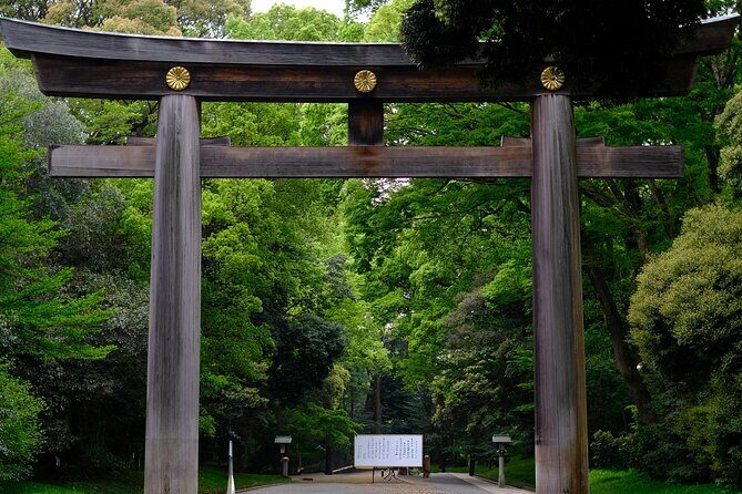 Luxury Private Tokyo Tour - Key Points