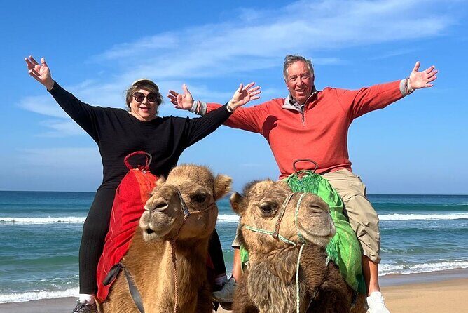 Luxury Private Tour of Tangier from Gibraltar All Inclusive - Final Thoughts