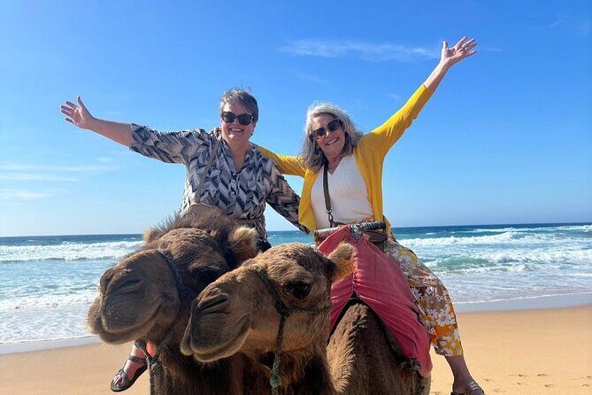 Luxury Private Tour of Tangier from Malaga All Inclusive - Final Thoughts