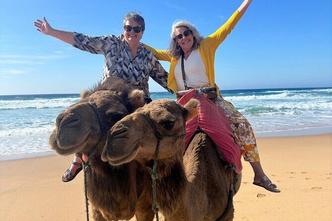 Luxury Private Tour of Tangier from Marbella All Inclusive - Final Thoughts: Who Should Consider This Tour?