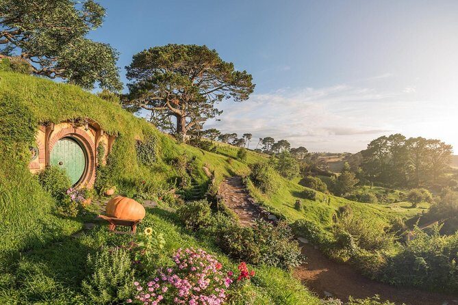 Luxury Private Transfers: Auckland Airport to City - Key Points