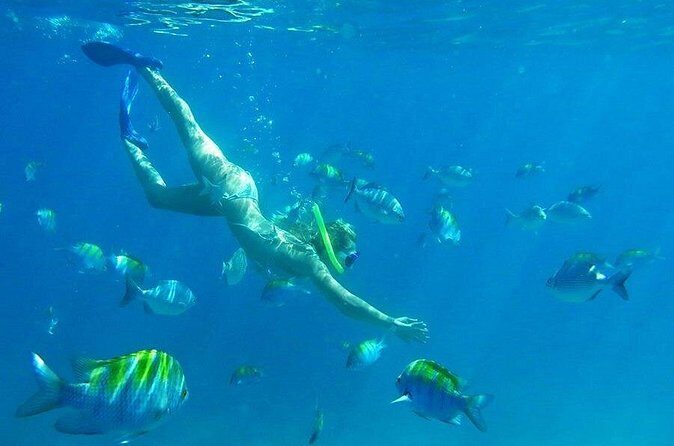 Luxury sailboat in Riviera Maya - Who Will Love This Tour?