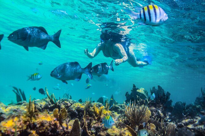 Luxury Sailing and Snorkeling Tour in Riviera Maya - Final Thoughts: Is This Tour Worth It?