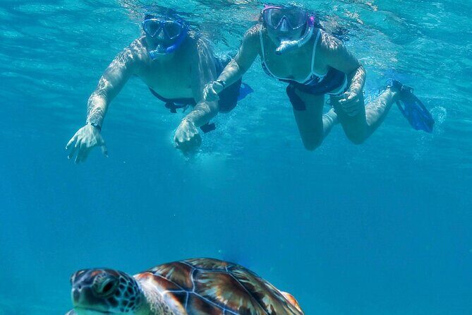 Luxury Sailing & Snorkeling Experience from Riviera Maya - Who Will Love This Tour?