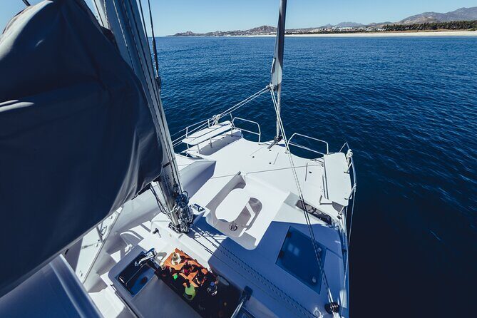 Luxury Sailing Whale Watch and The Arch (Dec 15 - Apr 15) - A Detailed Look at the Whale-Watching and Sightseeing Experience