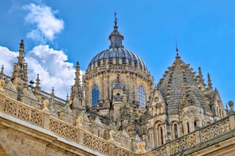 Luxury Salamanca & Iberian Ham Tour from Madrid - Frequently Asked Questions
