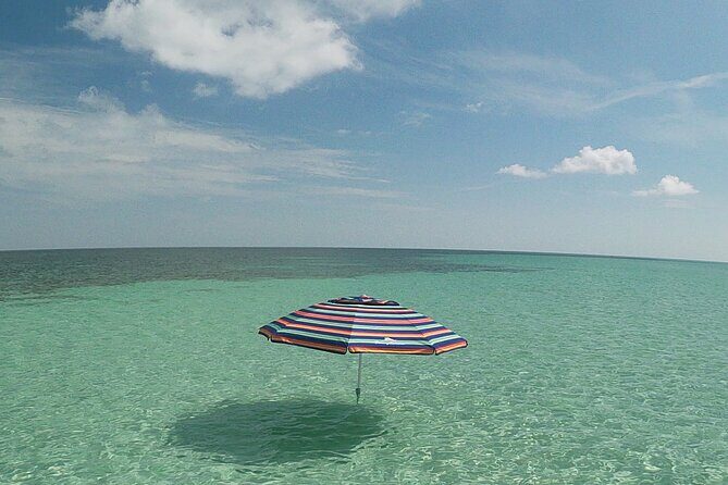Luxury Sandbar and Snorkeling trip in Key West - Key Points