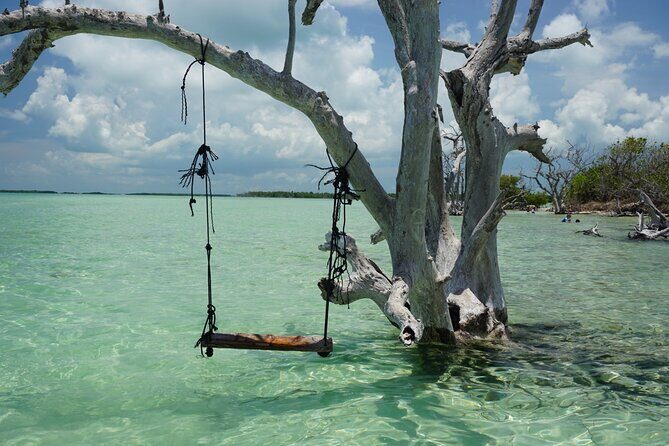 Luxury Sandbar and Snorkeling trip in Key West - Who Will Love This Experience?