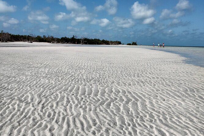 Luxury Sandbar and Snorkeling trip in Key West - Frequently Asked Questions