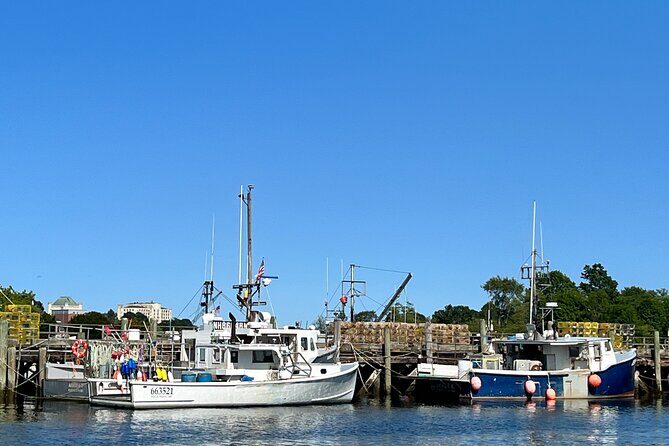 Luxury Semi-Private 4 Guest Seaside & Coastal eBike Tour |3-3.5Hr - An In-Depth Look at the Coastal eBike Tour