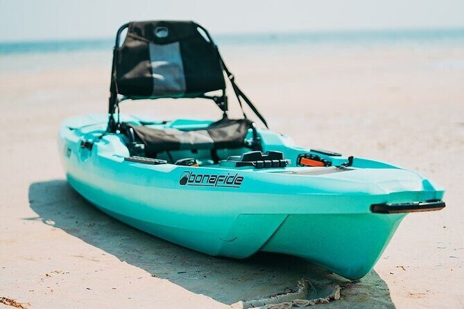 Luxury Single Kayak Tour To An Island Off Clearwater Beach! - Who Should Consider This Tour?