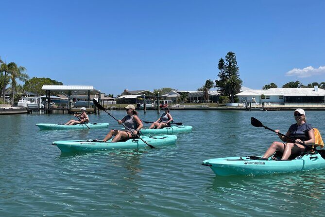 Luxury Single Kayak Tour To An Island Off Clearwater Beach! - The Sum Up