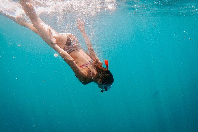 Luxury Snorkel Adventure in Cabo - Final Thoughts