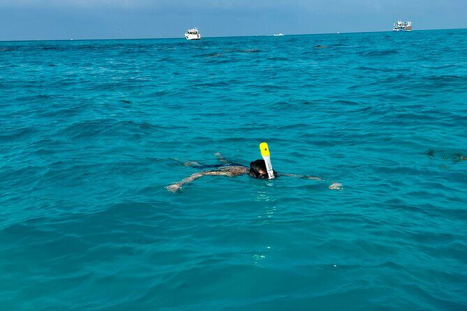 Luxury Snorkeling Excursion in Cancun MasterCraft X-Star 2hr - FAQ