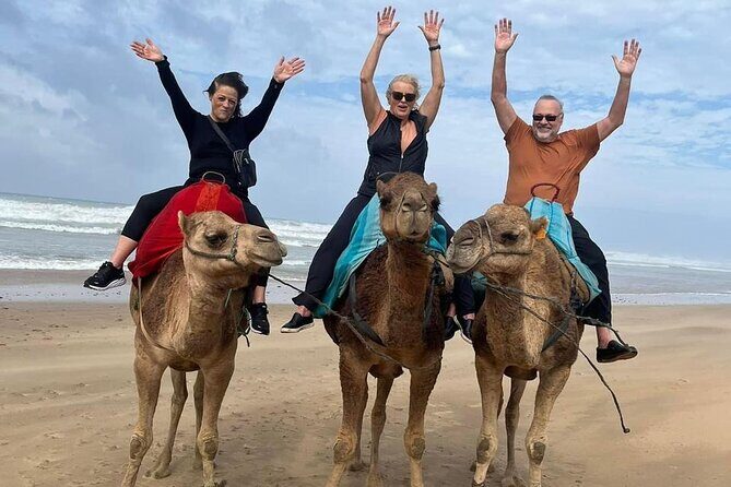 Luxury Tangier Private Day Tour from Malaga All inclusive - An In-Depth Look at the Private Day Tour from Malaga to Tangier
