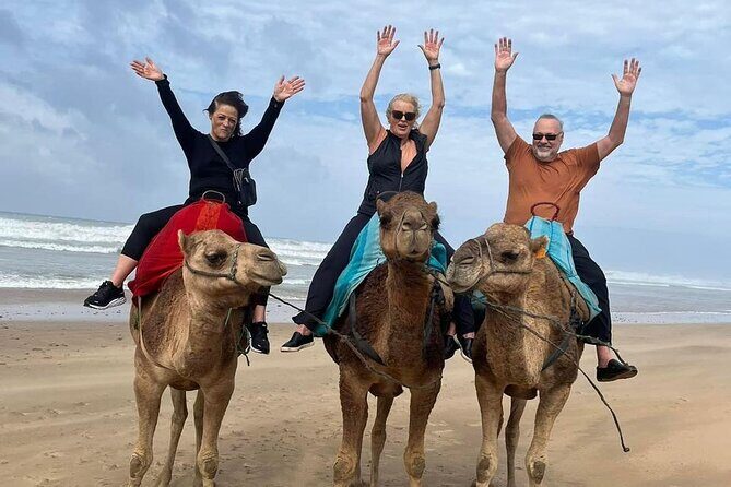 Luxury Tangier Private Day Tour from Marbella All inclusive - A Comprehensive Review of the Luxury Tangier Private Day Tour from Marbella
