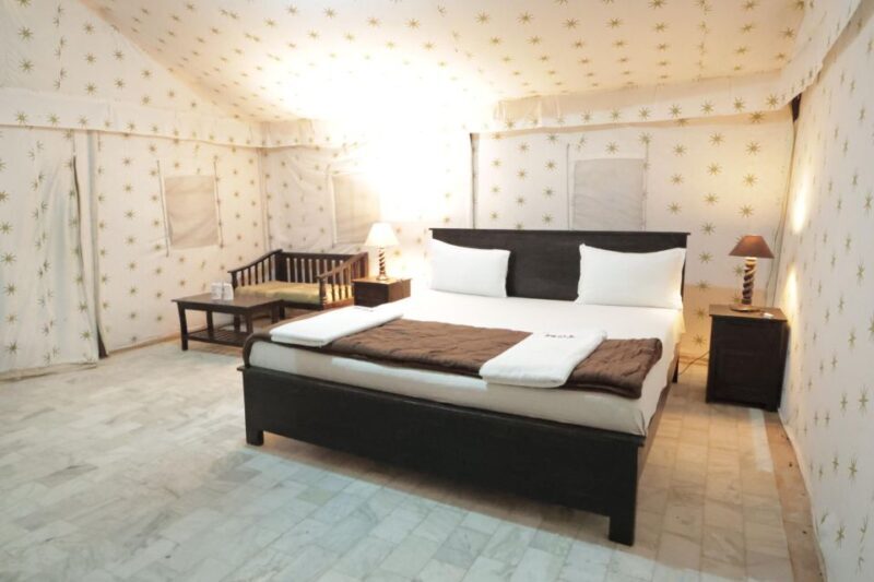 Luxury tent, dinner, breakfast, camel ride in thar desert - A Complete Overview of the Experience